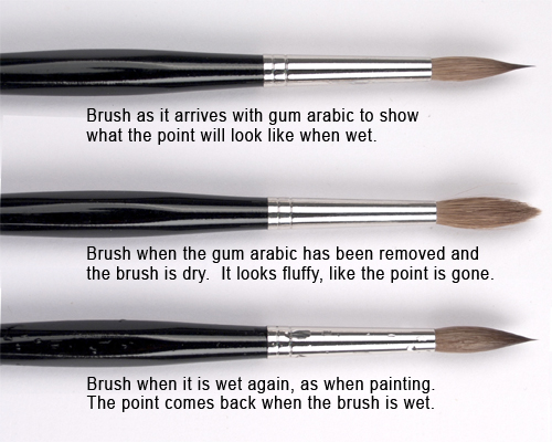 brush-points-wet-and-dry